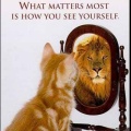 PLR Whole Sale Affiliates Wanted