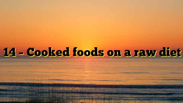 14 – Cooked foods on a raw diet