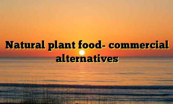 Natural plant food- commercial alternatives