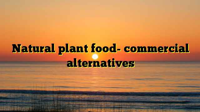 Natural plant food- commercial alternatives