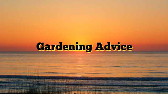Gardening Advice