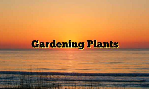 Gardening Plants