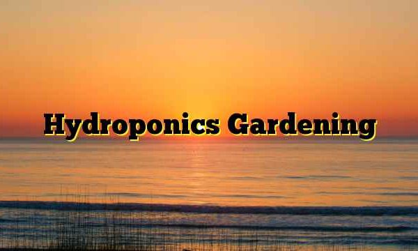 Hydroponics Gardening