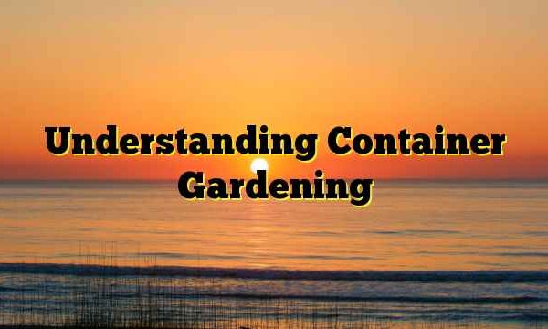 Understanding Container Gardening