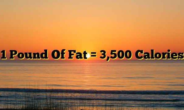 1 Pound Of Fat = 3,500 Calories