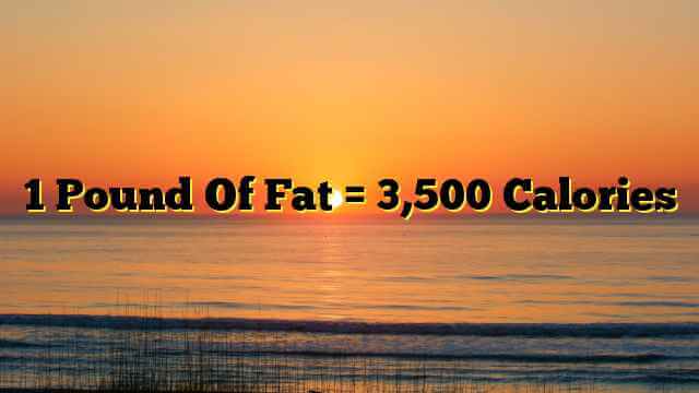 1 Pound Of Fat = 3,500 Calories